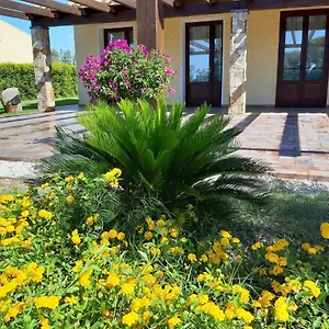 https://agriturismo-is-solinas.in-sardinia.net